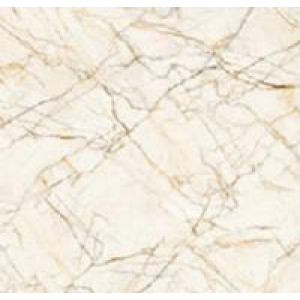 Gạch Trường Thịnh GENESIS SERIES VA86J802